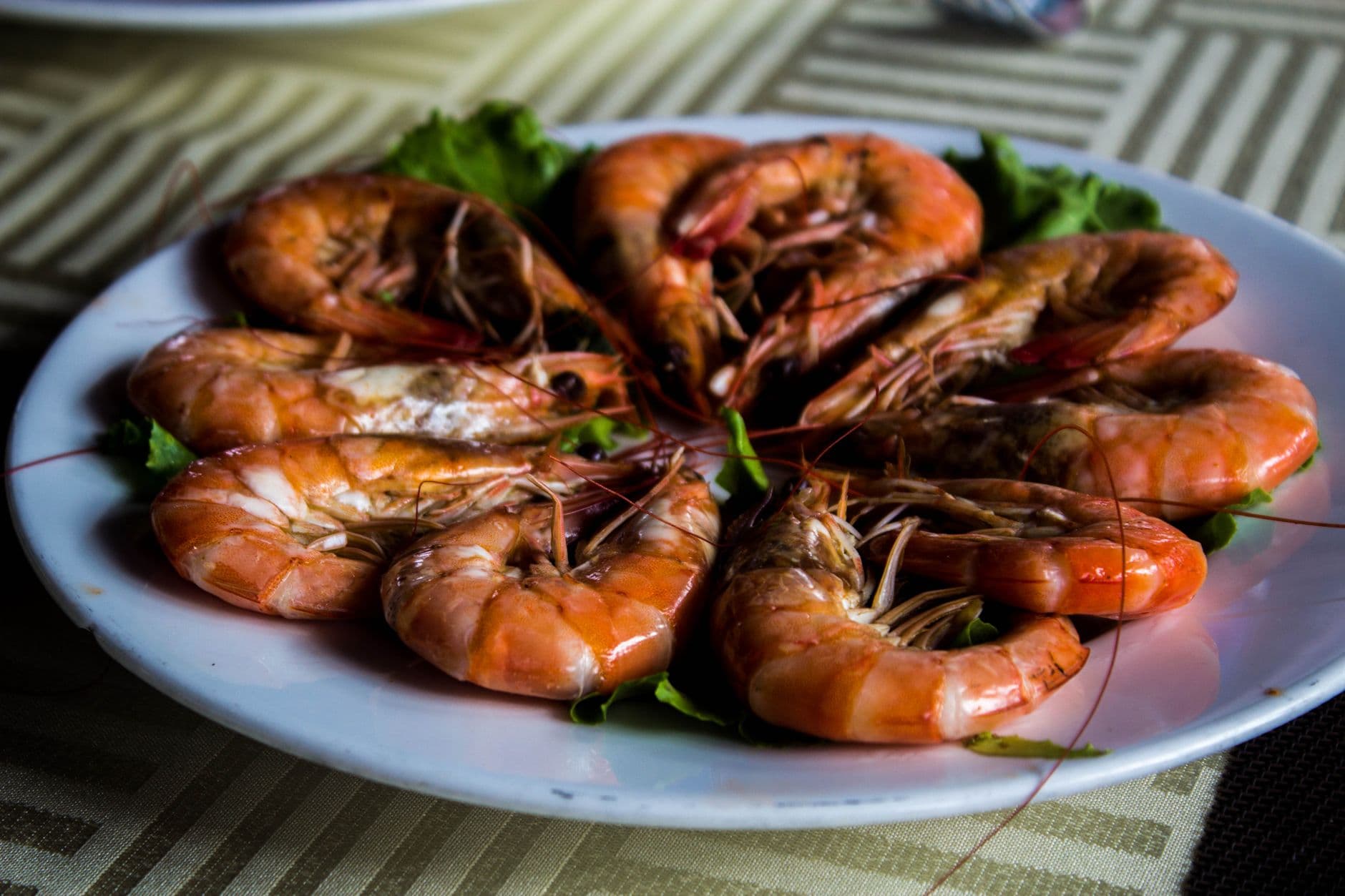 Where to Eat in Nha Trang: Seafood and Vietnamese Food Guide (2026)